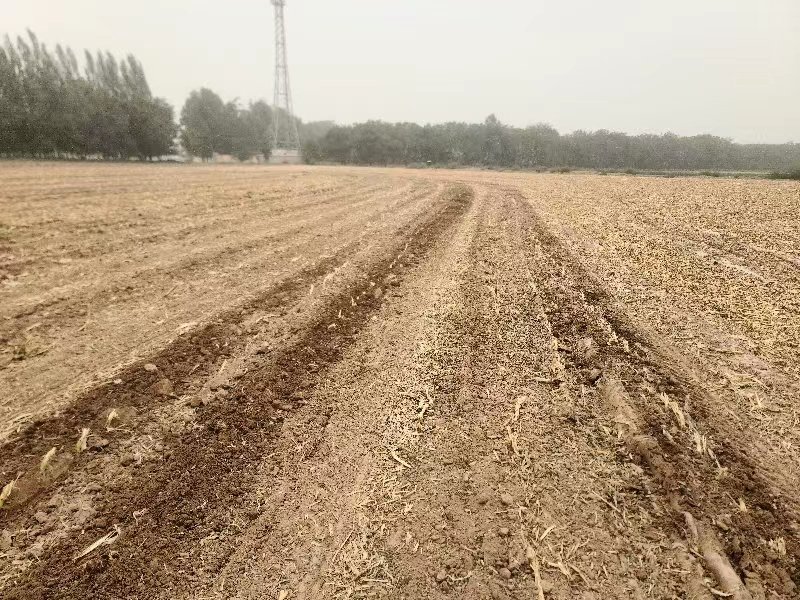 殘膜回收機(jī)